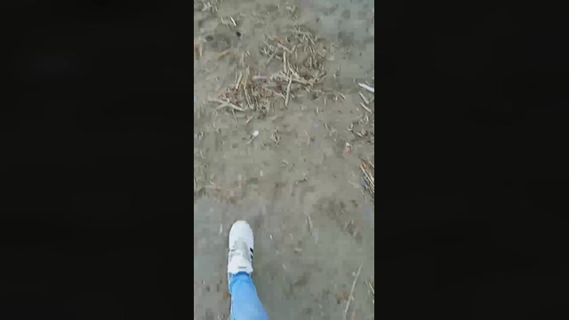 guaposex22  02-03-2022 video fuckme