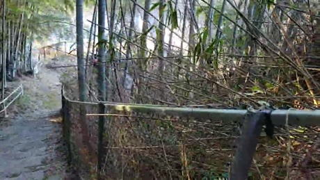 sorato111  03-03-2022 video bigtoys