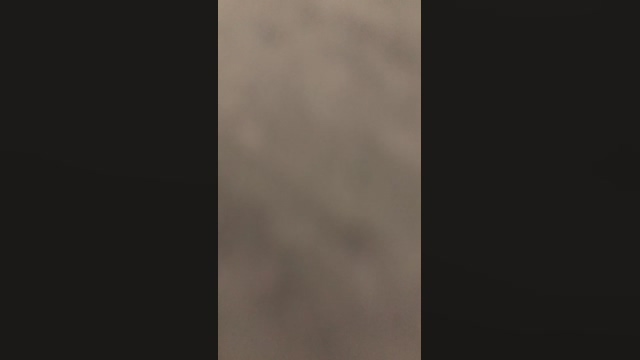 BrunaCobra 04-03-2022 Recorded 