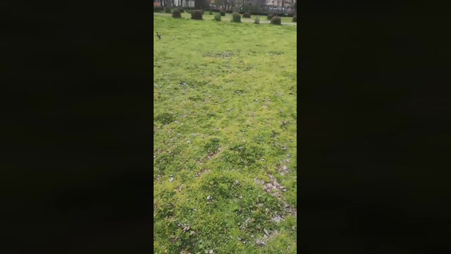 Jojonny  04-03-2022 video bigcock