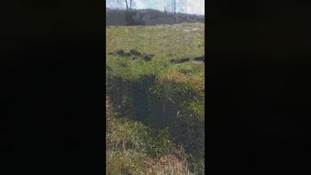 SpymeCGN  04-03-2022 video suckshow