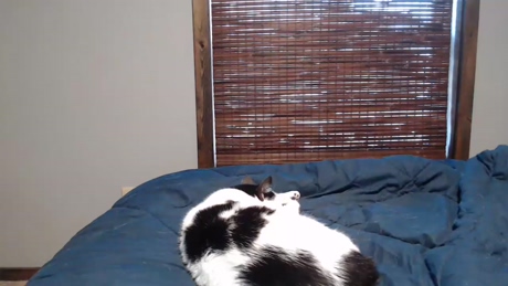 lancehardin  04-03-2022 video suckcock