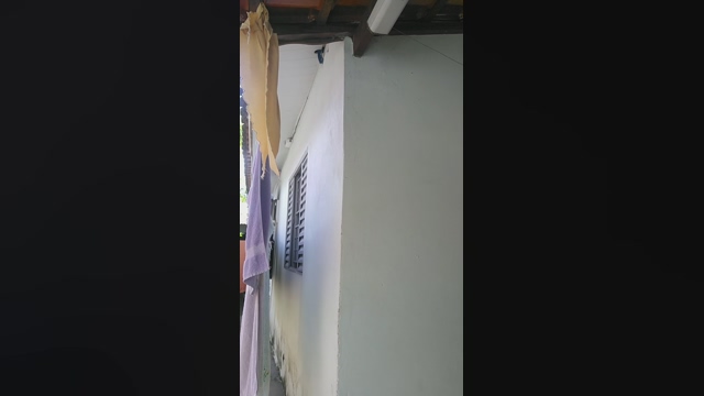 leticiaquer 03-03-2022 amateur 