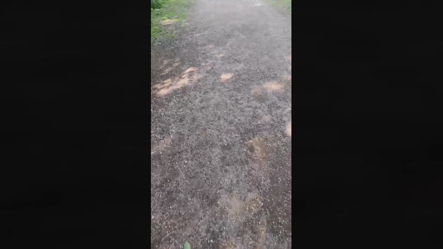 Jojonny  05-03-2022 video hardcock