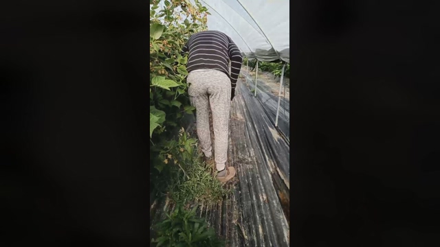 Nenitohuelv  05-03-2022 video Download