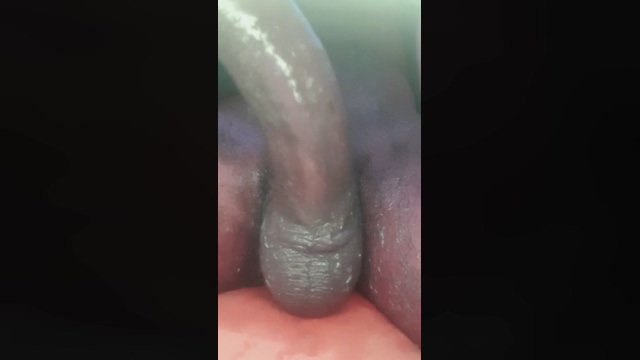 La_patronax