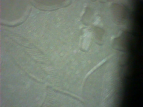 NorthMarine  05-03-2022 Recorded Video beautiful