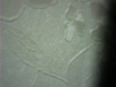 NorthMarine  05-03-2022 video hard