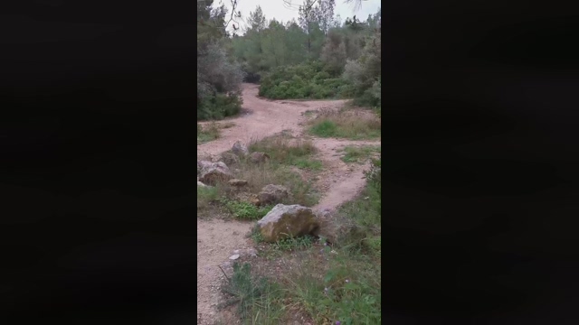 Slavomir78  05-03-2022 video ass