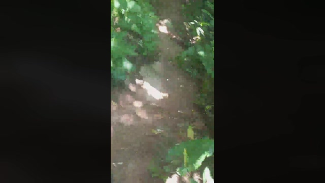 menegues  06-03-2022 Recorded Video amateur