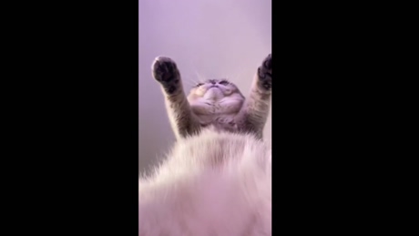 topganhotty  05-03-2022 video hardcock