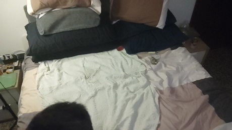 HairyPigBottom  07-03-2022 Recorded Video kiss