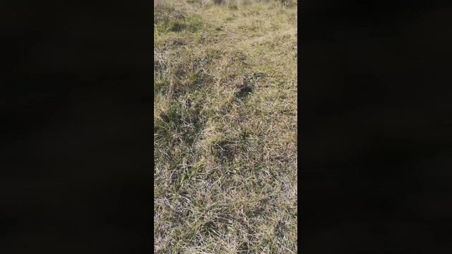 Jojonny  07-03-2022 video Topless