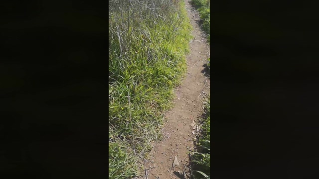 Jojonny  07-03-2022 video moan