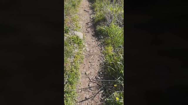 Jojonny  07-03-2022 video oral