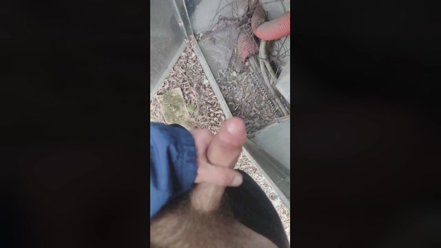 Swuosh  06-03-2022 Recorded Video beauty