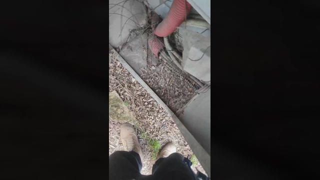 Swuosh  06-03-2022 video Topless