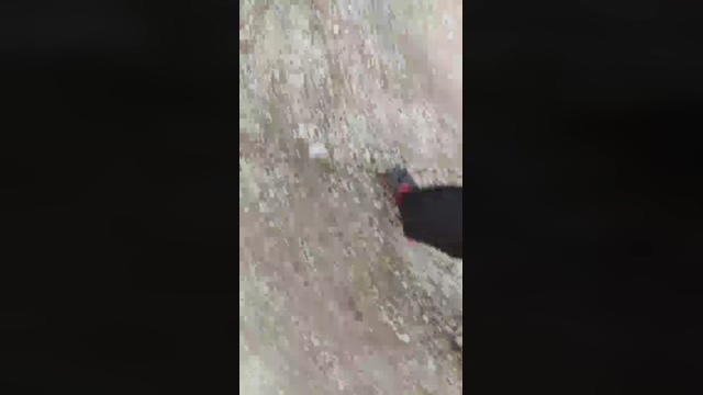 andreas_ath  07-03-2022 video harddick