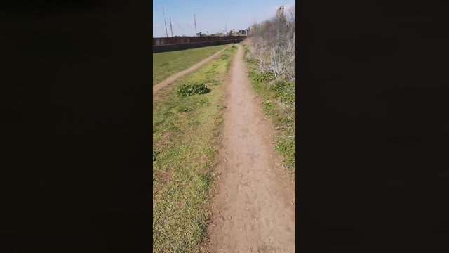 Jojonny  08-03-2022 video sweet