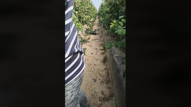Nenitohuelv  08-03-2022 Recorded Video bigass