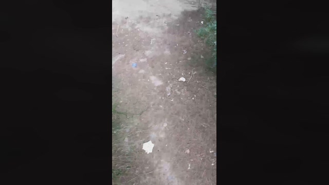 Slavomir78  08-03-2022 video deepthroat