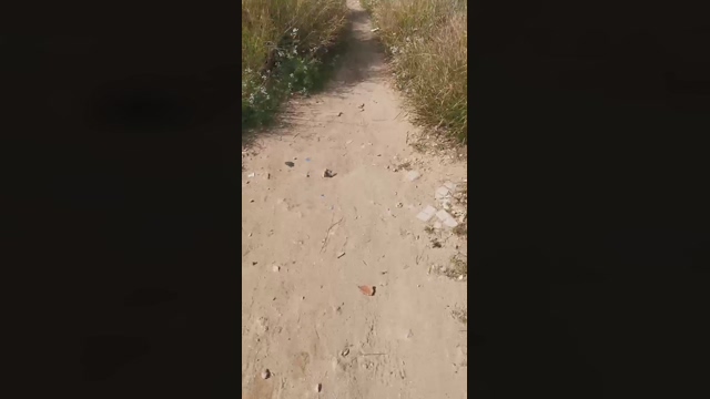 Slavomir78  08-03-2022 video cute