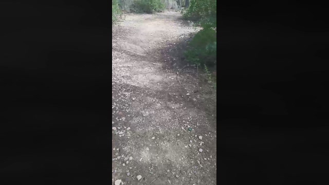 Slavomir78  08-03-2022 Recorded Video analtoy
