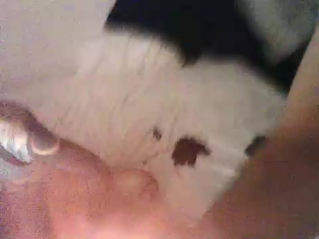 XLduque  07-03-2022 Recorded Video beauty