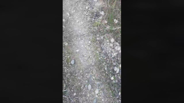 big_blackc  08-03-2022 video hot