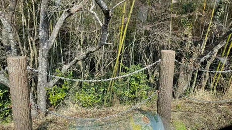 sorato111  08-03-2022 video nasty