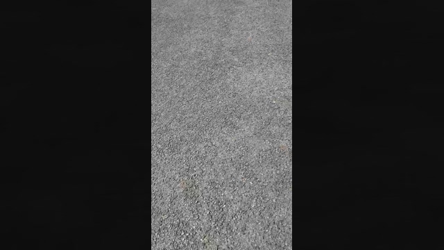 sorato111  08-03-2022 video bj-dildo