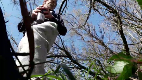 Trou66  09-03-2022 video strip