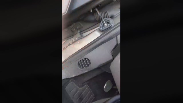 bello176  09-03-2022 video nasty