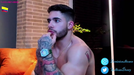 dominic_sullivan1  09-03-2022 video Webcam