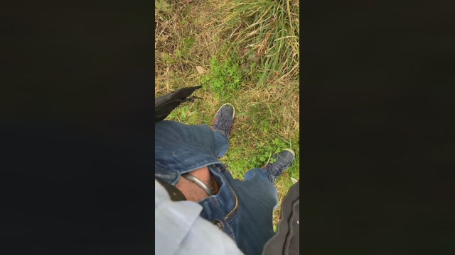 Frredd2  09-03-2022 video hardcore