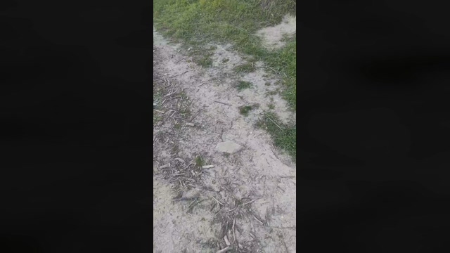 viziato_hot  09-03-2022 Recorded Video natural