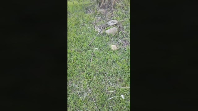 viziato_hot  09-03-2022 video fuckass