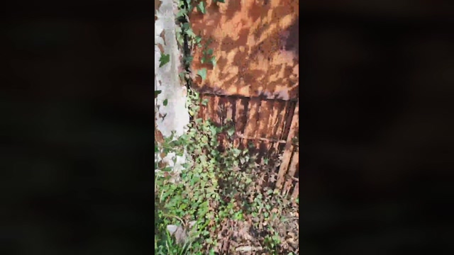ENI__  11-03-2022 Recorded Video juicy