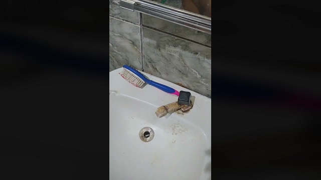 Gabriel_Coutin  11-03-2022 video hardcore