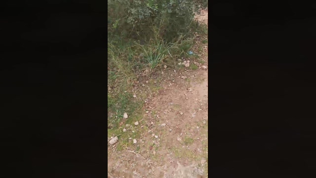 Slavomir78  11-03-2022 Recorded Video toys