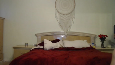 banginbrooke1  11-03-2022 bj-dildo Couples