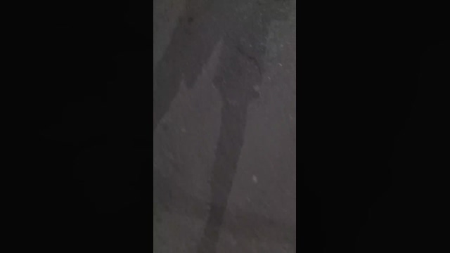 bello176  10-03-2022 Recorded Video lick