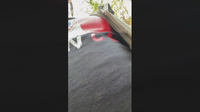 daylabo  10-03-2022 Recorded Video skinny