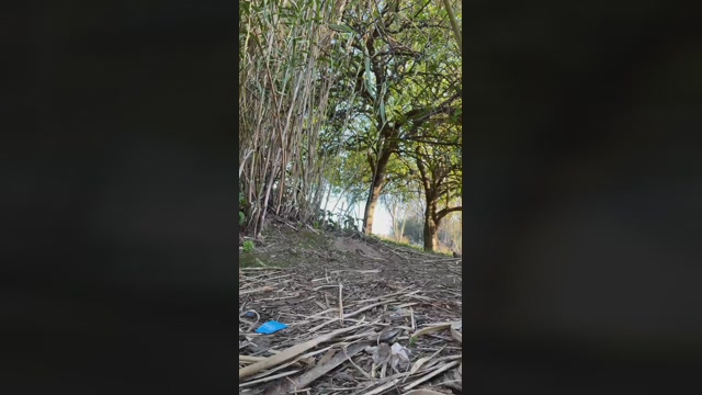 daylabo  10-03-2022 Recorded Video juicy