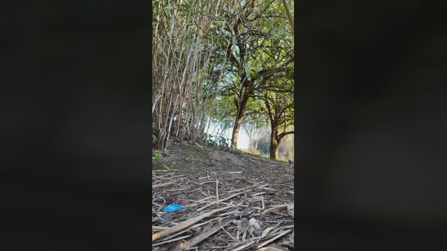 daylabo  10-03-2022 video gay