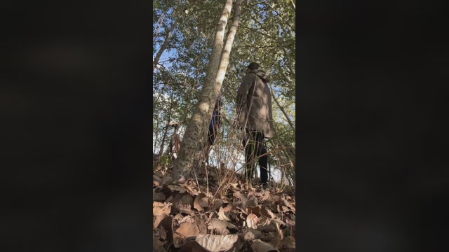 daylabo  10-03-2022 video fingers