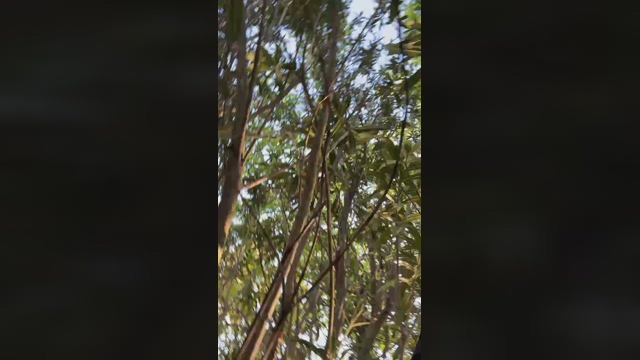 daylabo  10-03-2022 video hard