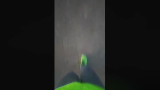 negro865  10-03-2022 video bigtoys