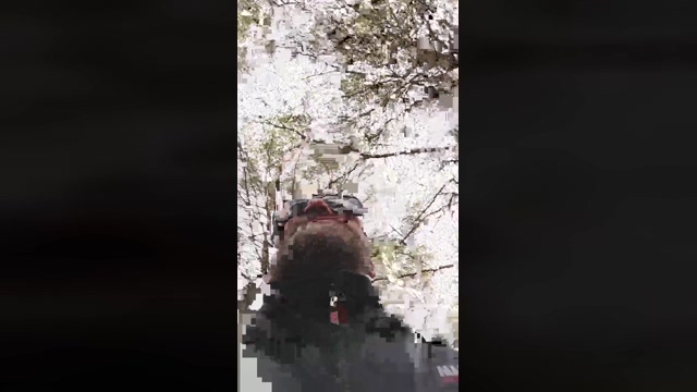 Slavomir78  11-03-2022 video hardcore