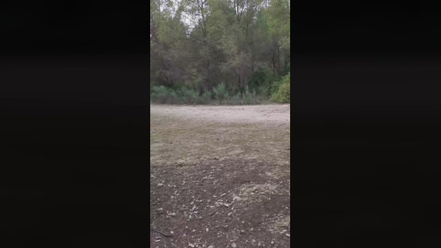 Slavomir78  11-03-2022 video cute